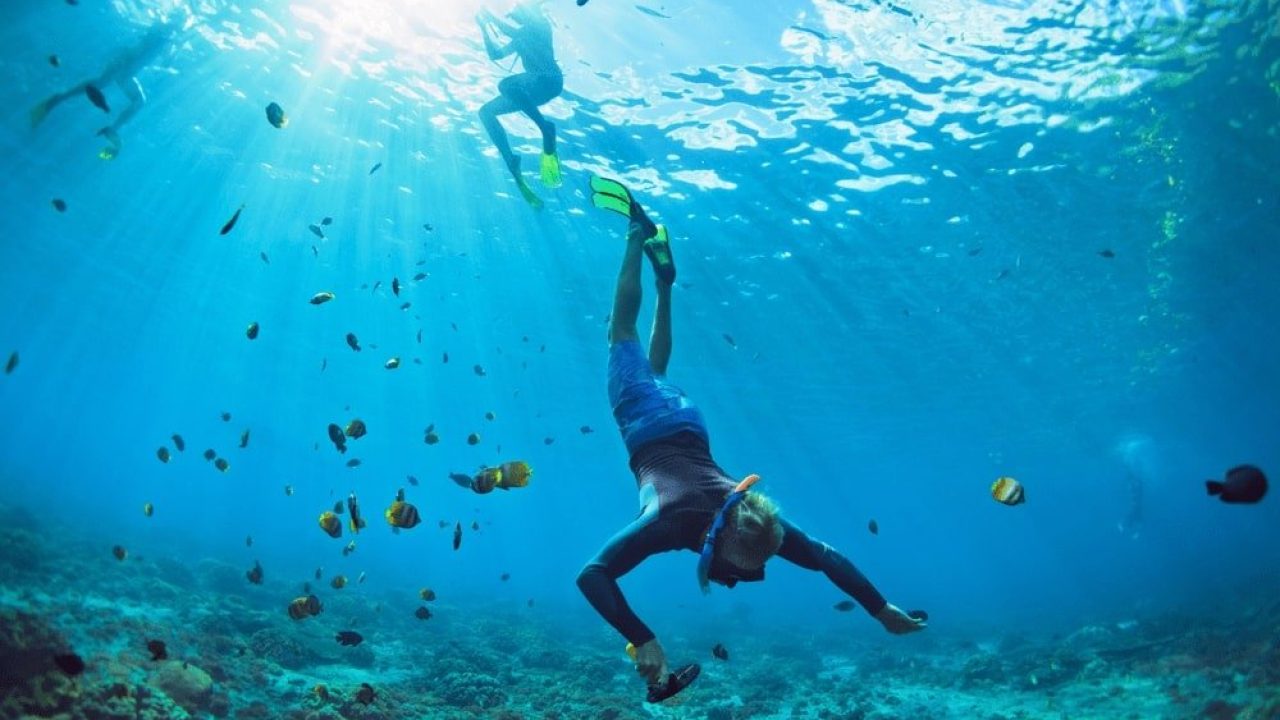 Crystal-Bay-Snorkeling-5-min